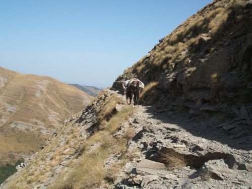 trekking con i muli-76.JPG